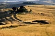 Toscana and Umbria